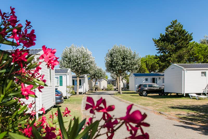 Camping L'Océan - Blick auf die Mobilheime und Parkplätze im Grünen mit Blumen