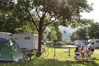 Camping Löwenhof - Wohnwagen- und Zeltstellplatz zwischen Bäumen mit Bergblick