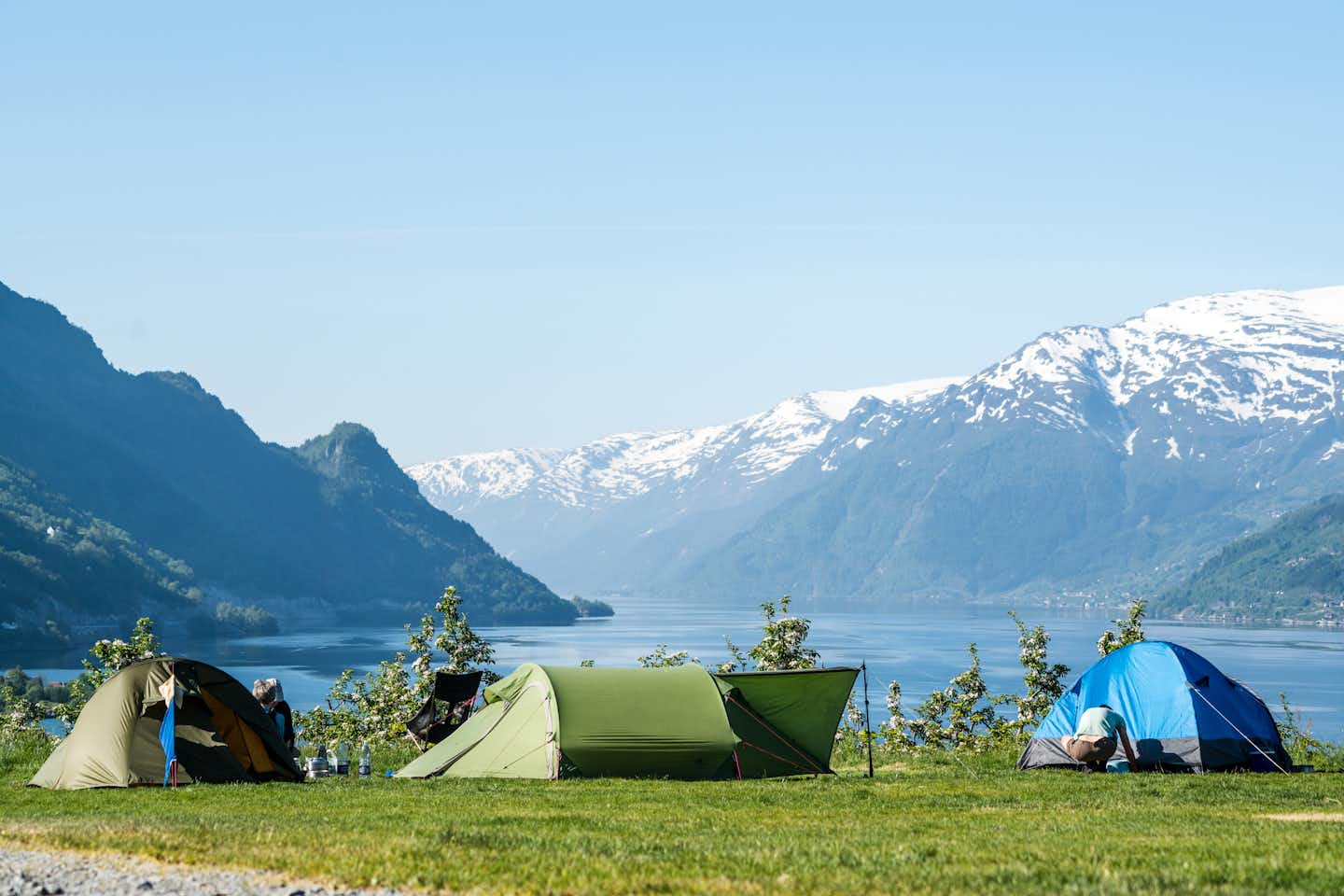 Camping Lofthus  -  Zeltplatz vom Campingplatz auf grüner Wiese mit Blick auf den Fjord und die Berge