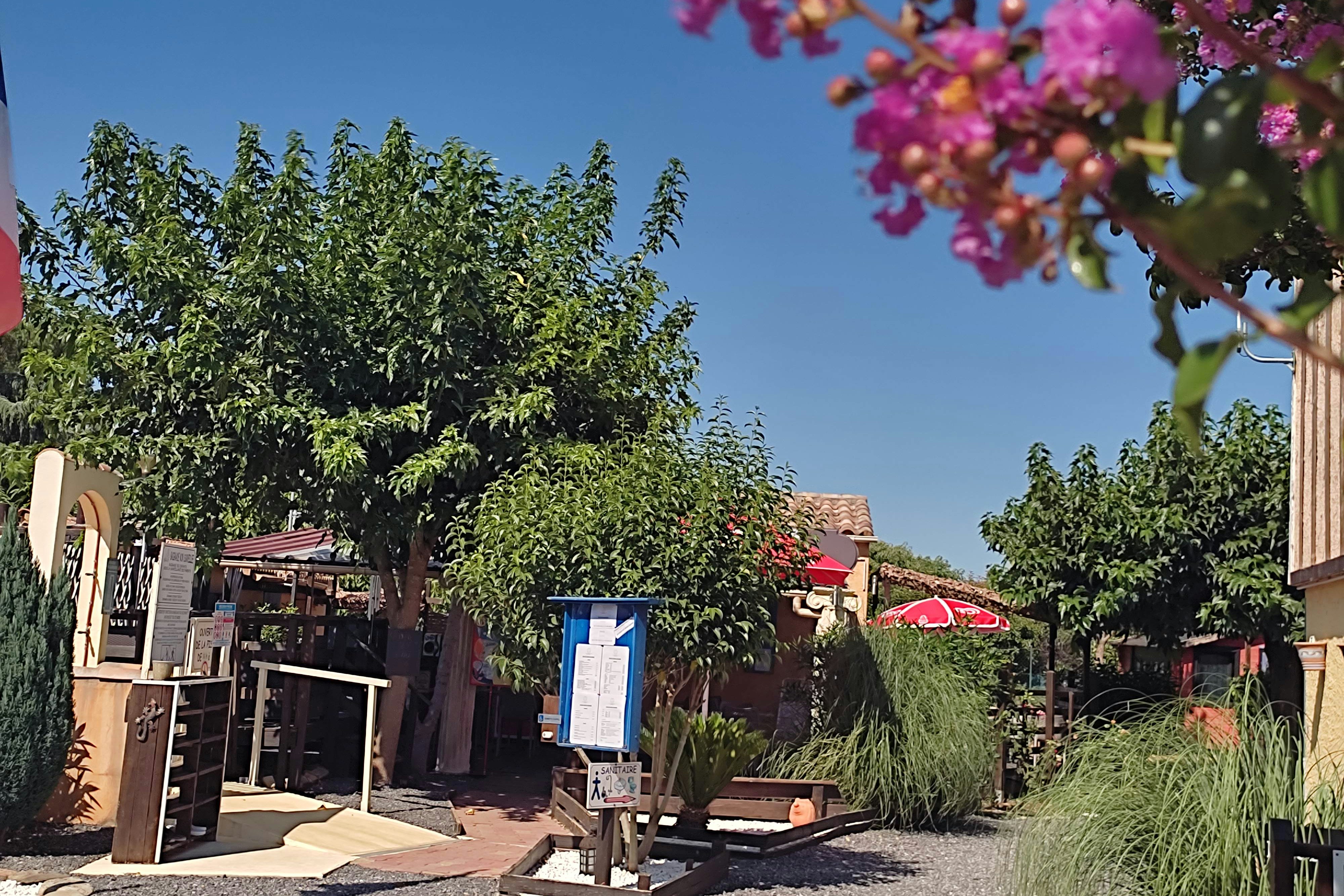 Camping l'Olivier - Blick auf den Campingplatz