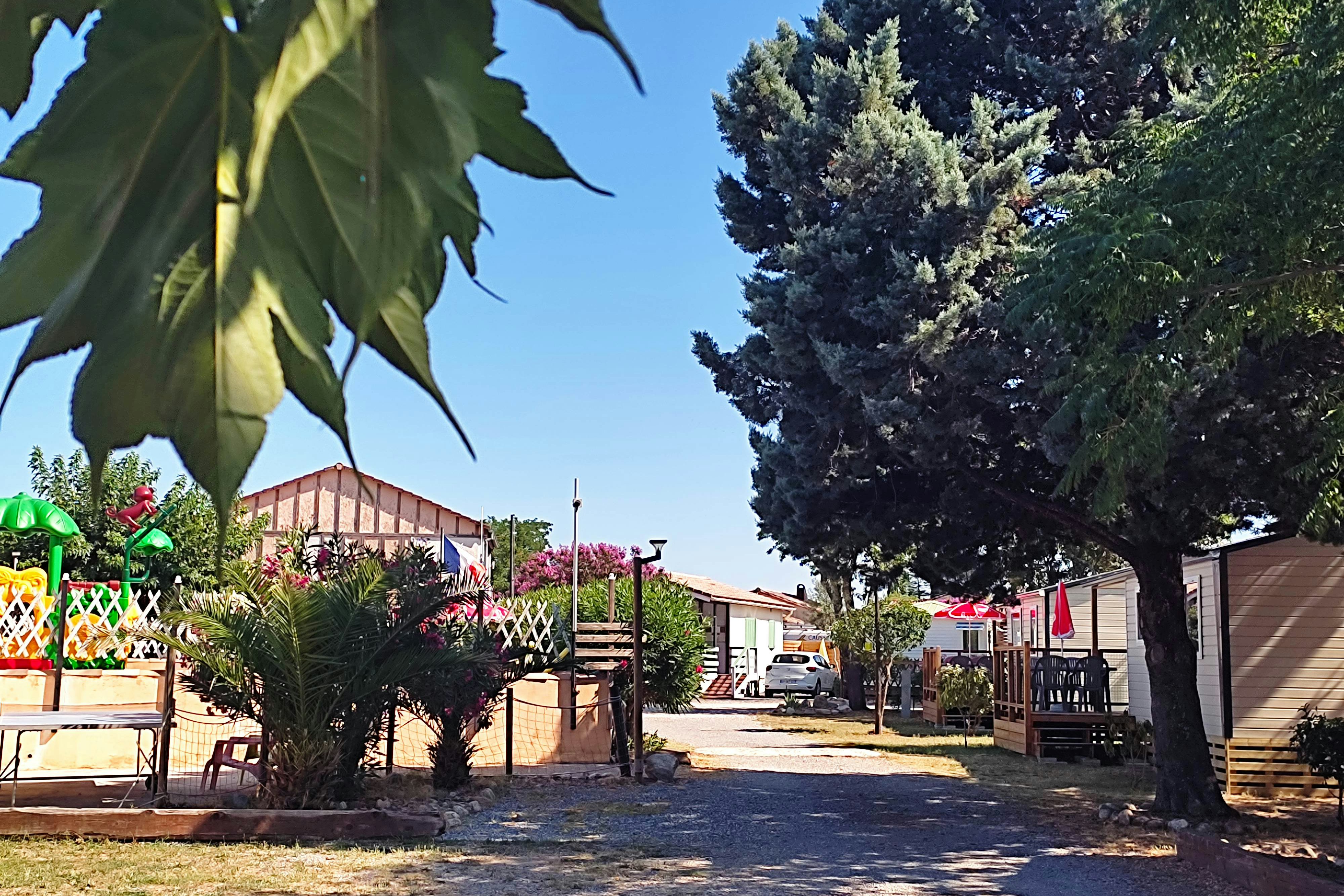 Camping l'Olivier - Blick auf den Campingplatz
