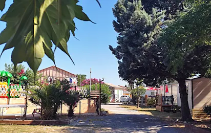 Camping l'Olivier (Massillargues-Attuech)