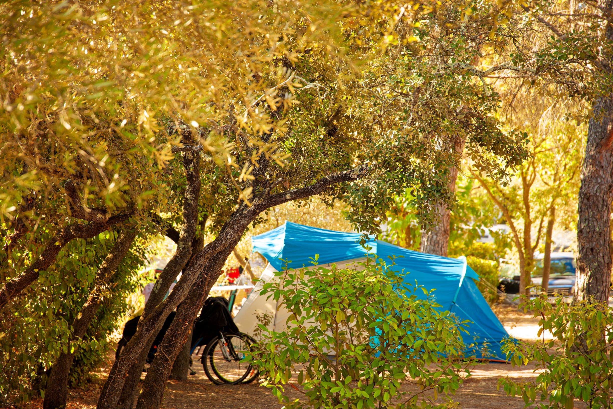 Camping L'Olivier (Junas)