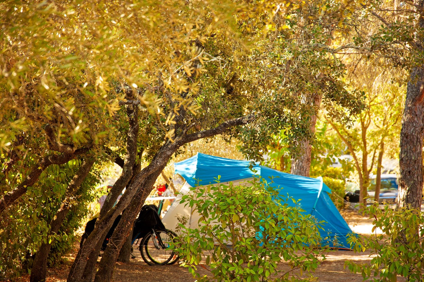 Camping L'Olivier (Junas)