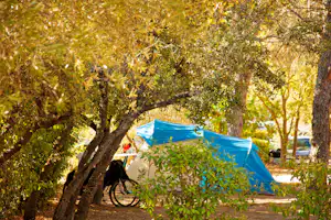Camping l’Olivier