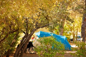 Camping l’Olivier