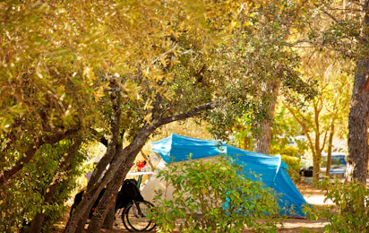 Camping L'Olivier (Junas)