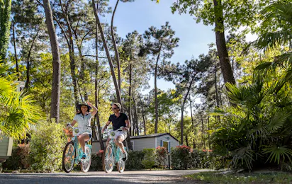 Camping Sandaya L'Orée du Bois