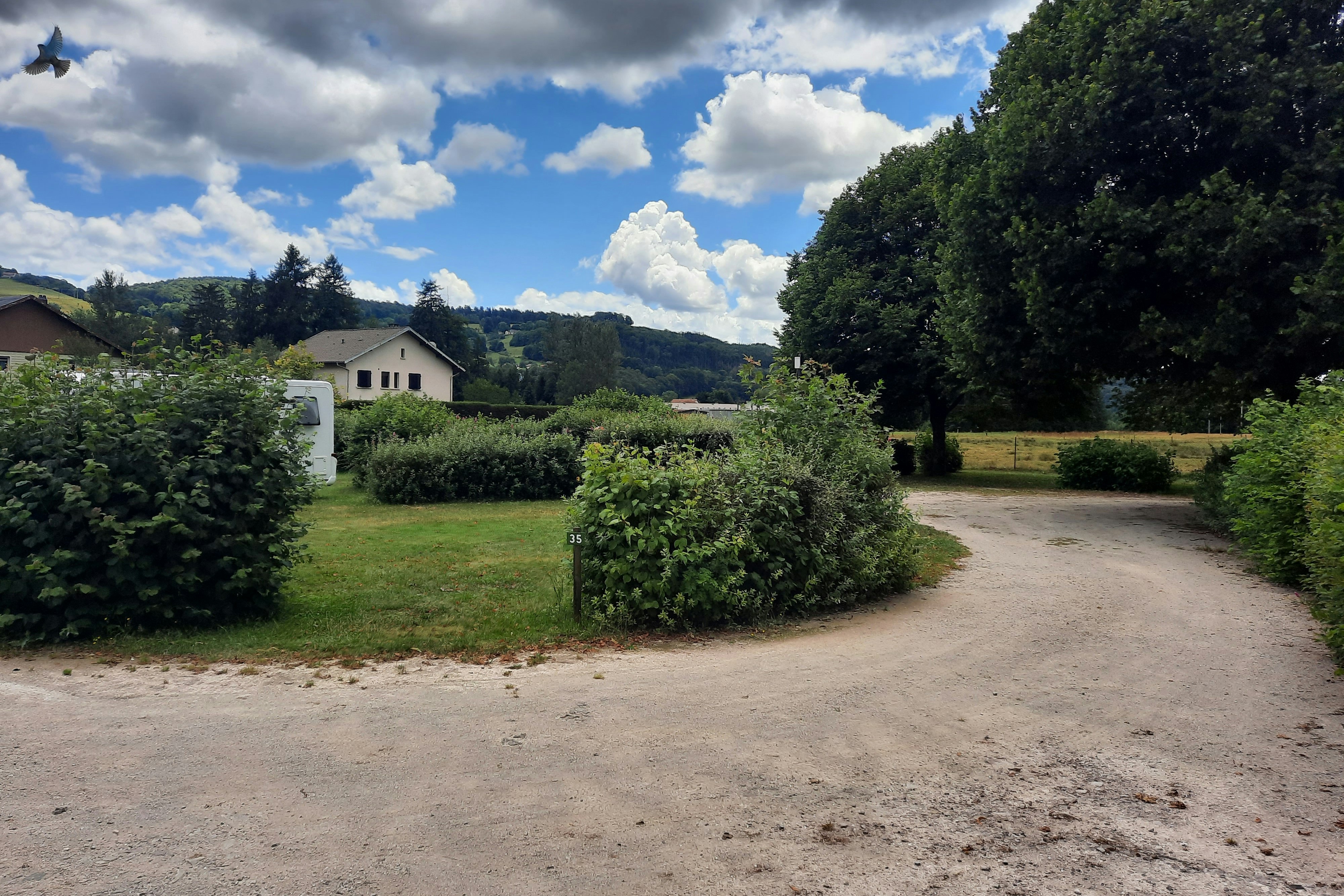 Camping l'Orée des Vosges - Blick auf den Campingplatz mit Stellplätzen auf der Wiese