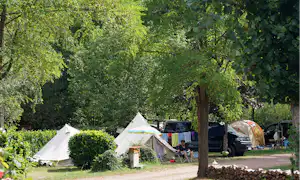 Zwei Campingzelte auf einem Stellplatz im Grünen, mit Büschen, Bäumen und einem Wohnwagen im Hintergrund.