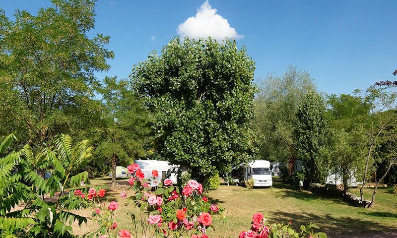 Camping L'Orée du Lac - Wohnmobil- und  Wohnwagenstellplätze im Grünen