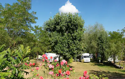 Camping L'Orée du Lac