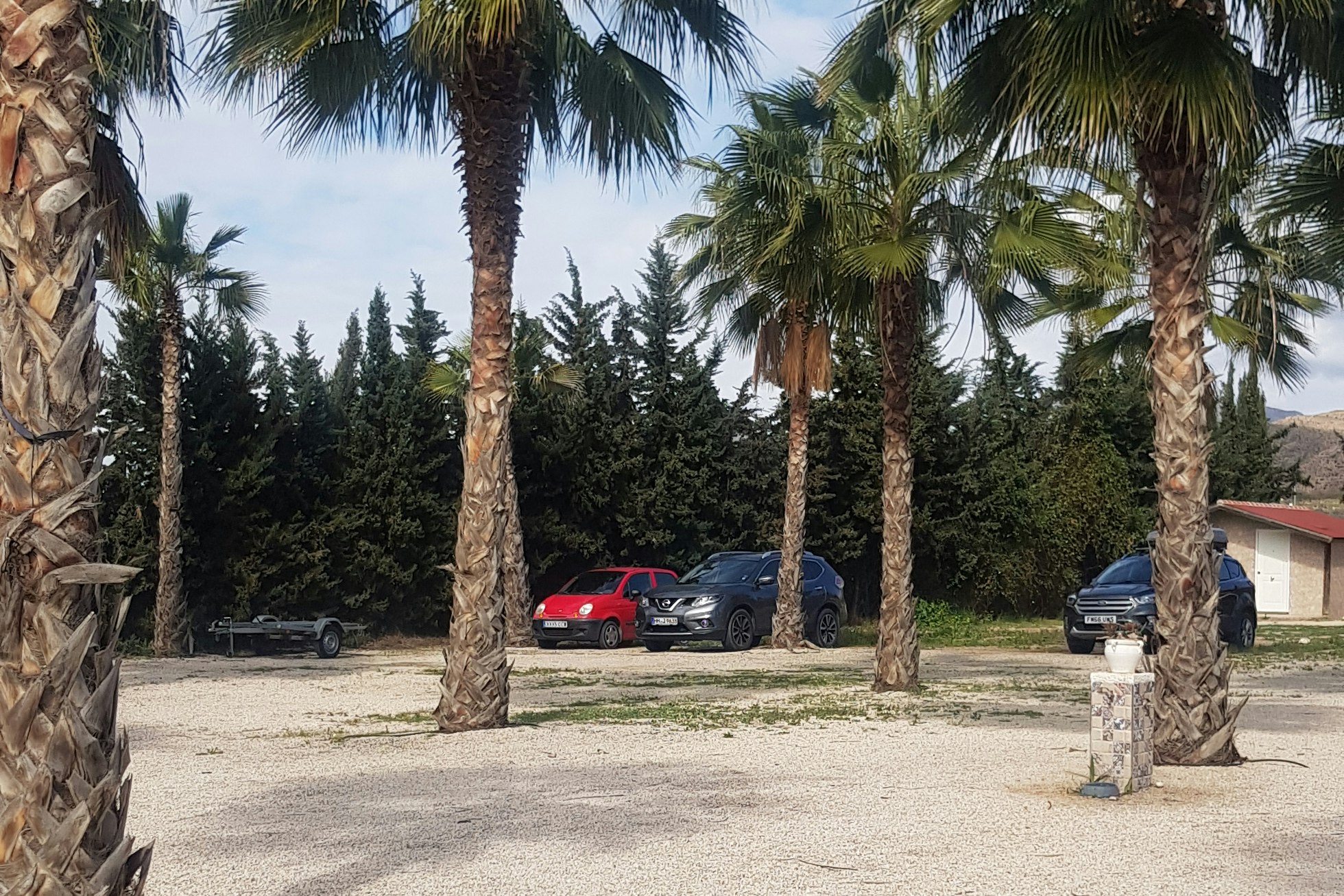 Camping Los Delfines - Stellplätze zwischen den Palmen