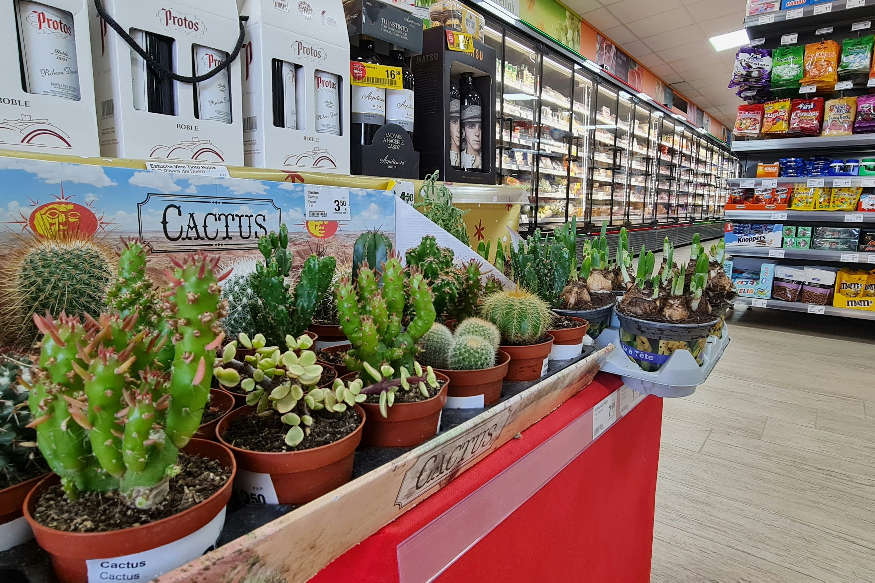 Camping Los Gallardos - Innenansicht des Supermarktes auf dem Campingplatz