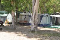Camping Los Llanos -  Wohnwagen- und Zeltstellplatz unter Bäumen auf dem Campingplatz