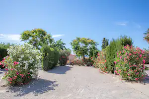 Camping Los Madriles - Stellplatz auf dem Campingplatz