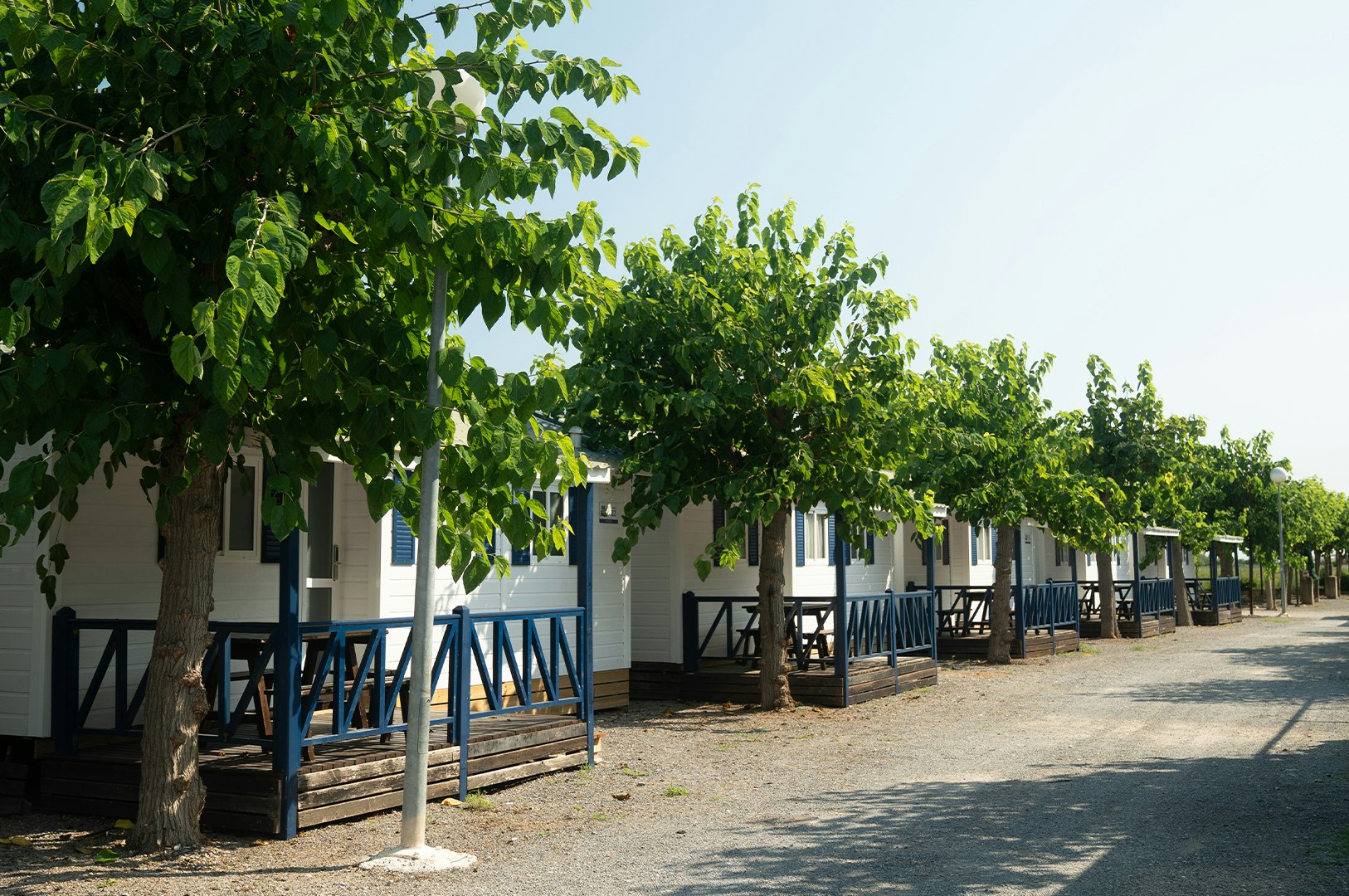 Reihe weißer Camping-Bungalows mit blauen Geländern, davor Kiesweg und Bäume mit grünen Blättern.
