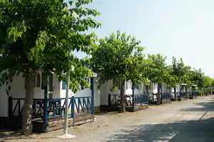 Reihe weißer Camping-Bungalows mit blauen Geländern, davor Kiesweg und Bäume mit grünen Blättern.