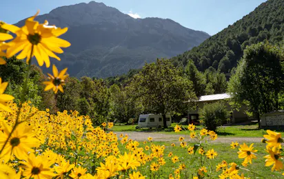 Camping Los Vives