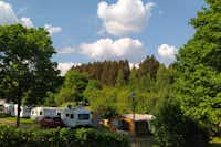 Camping Losheim am See - Blick auf die Stellplätze im Grünen