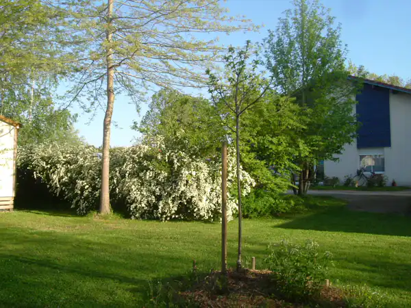 Camping Lou Bascou