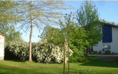 Camping Lou Bascou