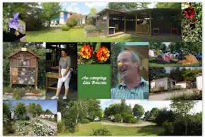 Campinganlage mit Holzüberdachung, Sitzbank, Wegen und Rasenfläche, im Hintergrund Gebäude und Bäume.