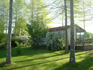 Holzbungalow mit Terrasse am Campingplatz im Grünen, umgeben von Bäumen und Sträuchern im Garten.