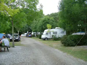 Wohnwagen und Campingbusse auf einem Kiesweg zwischen Bäumen, mit weiteren Autos und Zelten am Stellplatz.