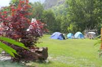 Camping Lou Dahu - Zelte auf der Stellplatzwiese