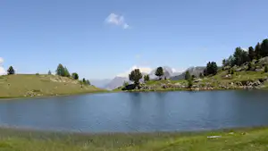 Alpensee mit ruhigem Wasser, grünen Wiesen und einzelnen Bäumen am Ufer, im Hintergrund Berge und ein klarer Himmel.