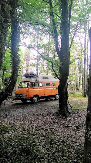 Camping Lough Key