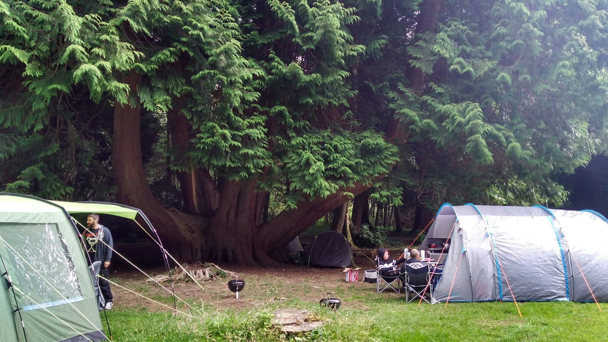 Camping Lough Key