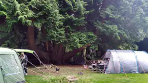 Camping Lough Key