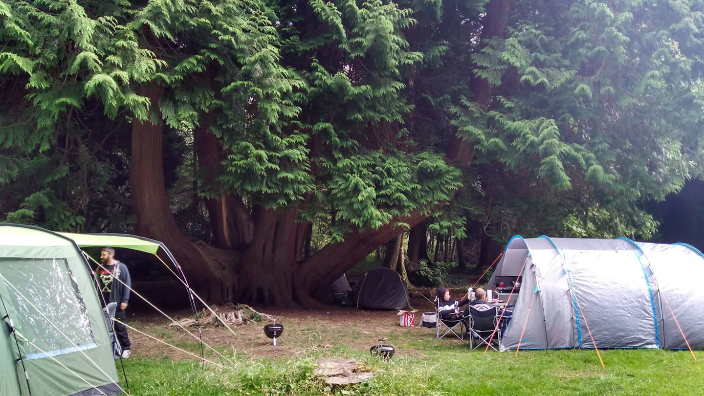 Camping Lough Key