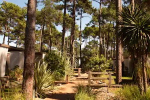 Camping Lous Seurrots - Campingplatz Gelände mit Bäume
