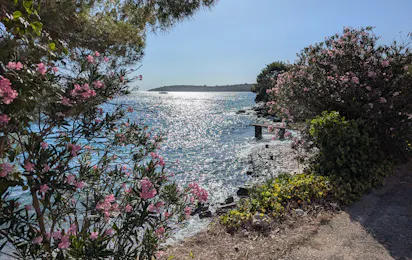 Camping Lovište Paradise