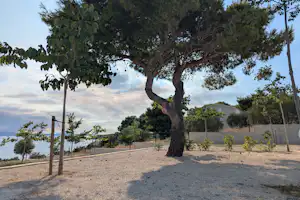 Großer Baum auf einem Campingplatz mit Kiesboden, Zaun und Wegen, im Hintergrund Gebäude und weitere Bäume.