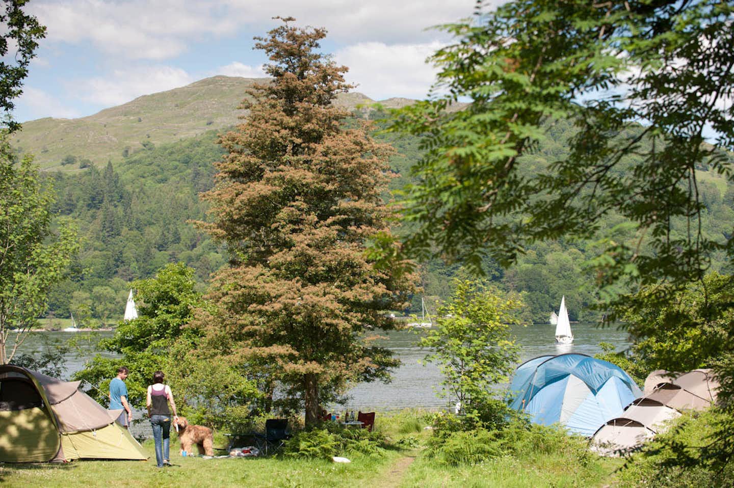 Camping Low Wray National Trust