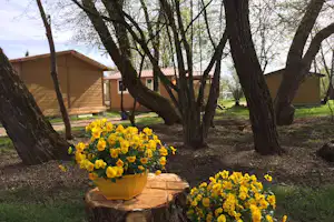 Gelbe Blumen in Töpfen auf einem Holzstamm vor Bungalows, umgeben von Bäumen und Rasen im Campingbereich.