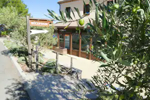 Rezeption am Campingplatz mit Holzschildern, Gebäude mit Veranda und Eingangstür, im Vordergrund Olivenzweige mit grünen Früchten.