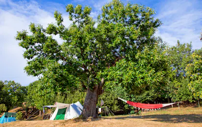 Camping Lucherino