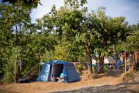 Camping Lucherino - Zeltplätze im Schatten der Bäume auf dem Campingplatz