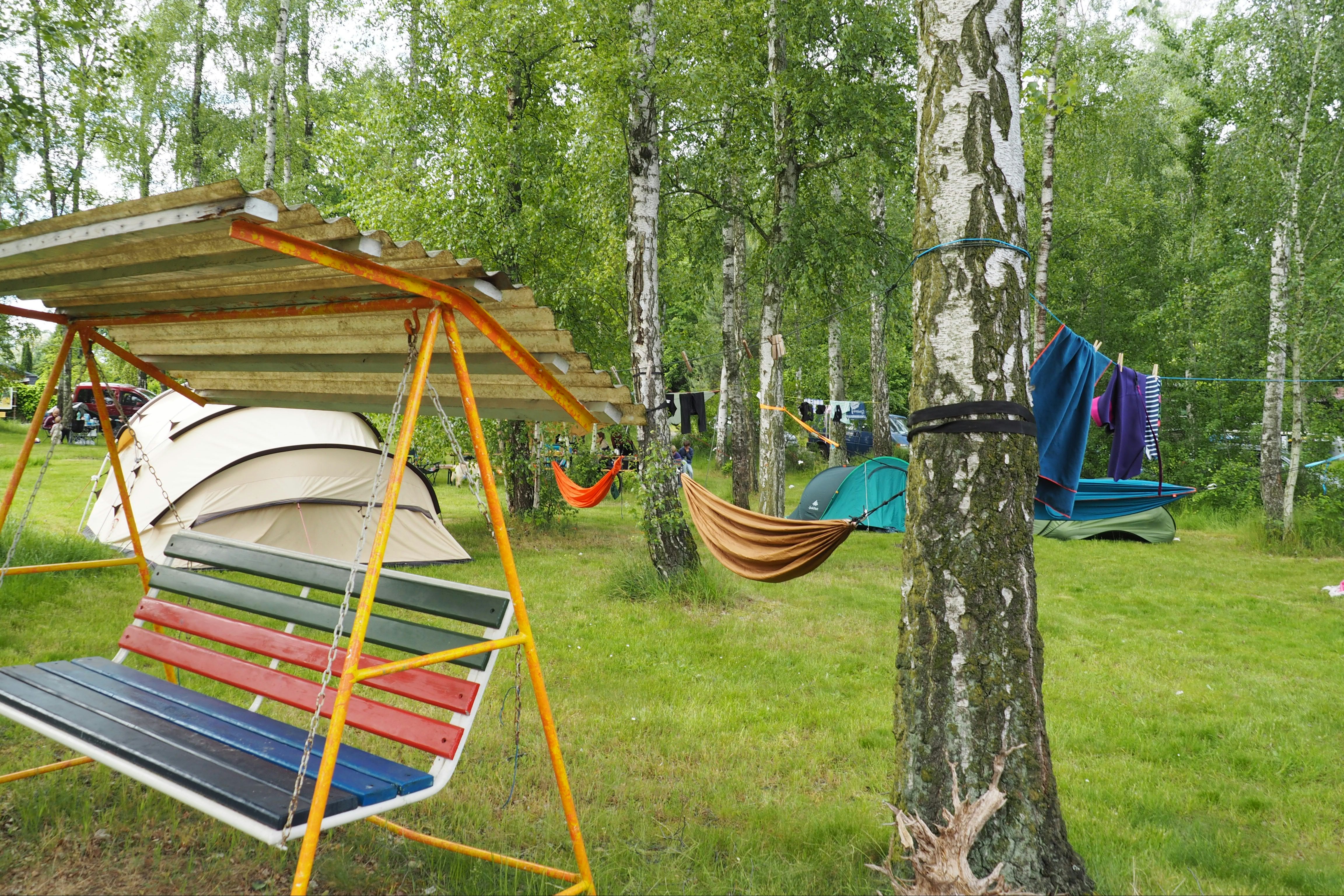 Campingplatz mit Hängematte und mehreren Zelten im Grünen, neben einem Holzrahmen mit Liegefläche zwischen Birken.