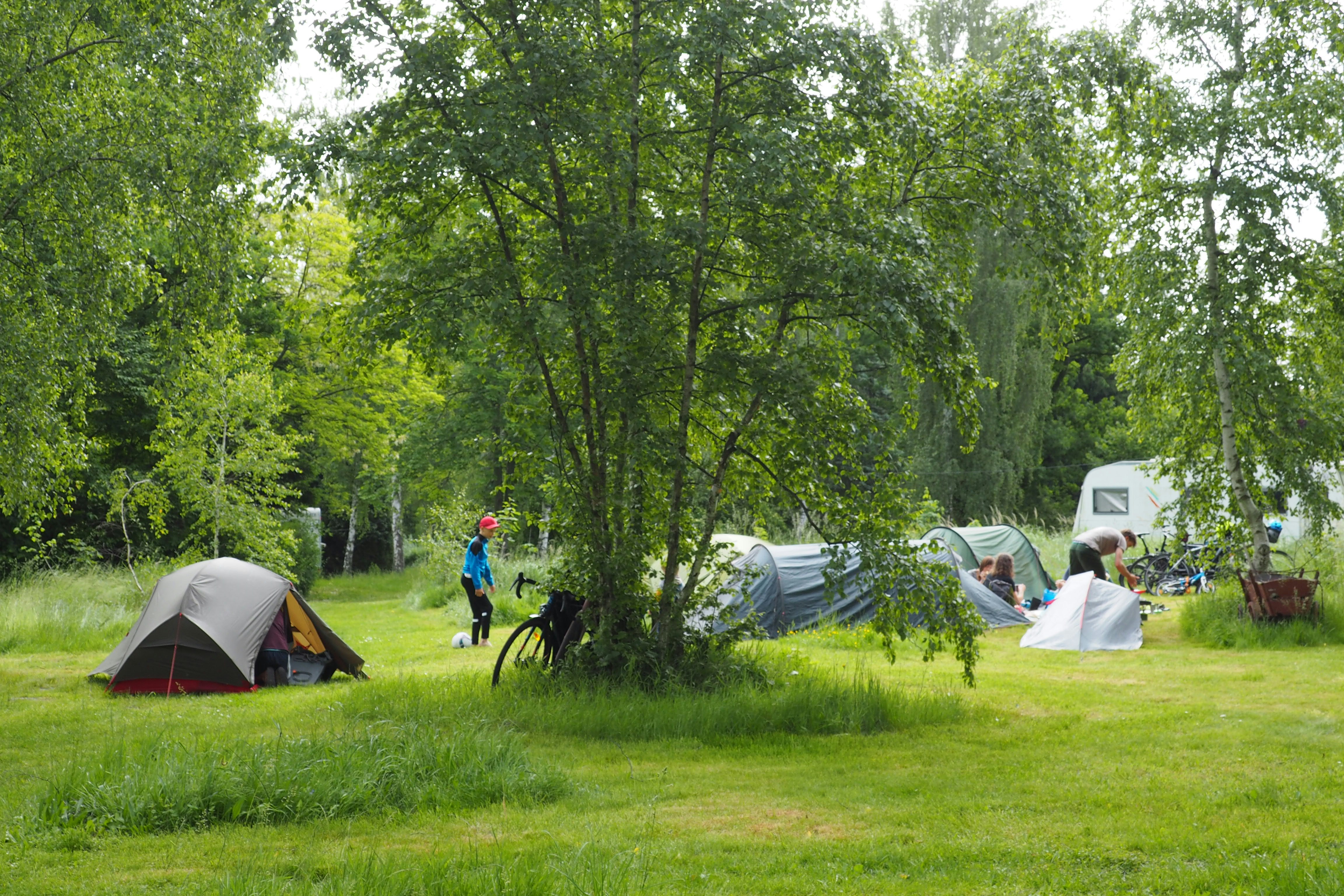 Campingzelt im Grünen zwischen Bäumen, daneben ein Fahrrad und weitere Zelte auf dem Rasen.