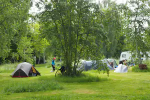 Campingzelt im Grünen zwischen Bäumen, daneben ein Fahrrad und weitere Zelte auf dem Rasen.