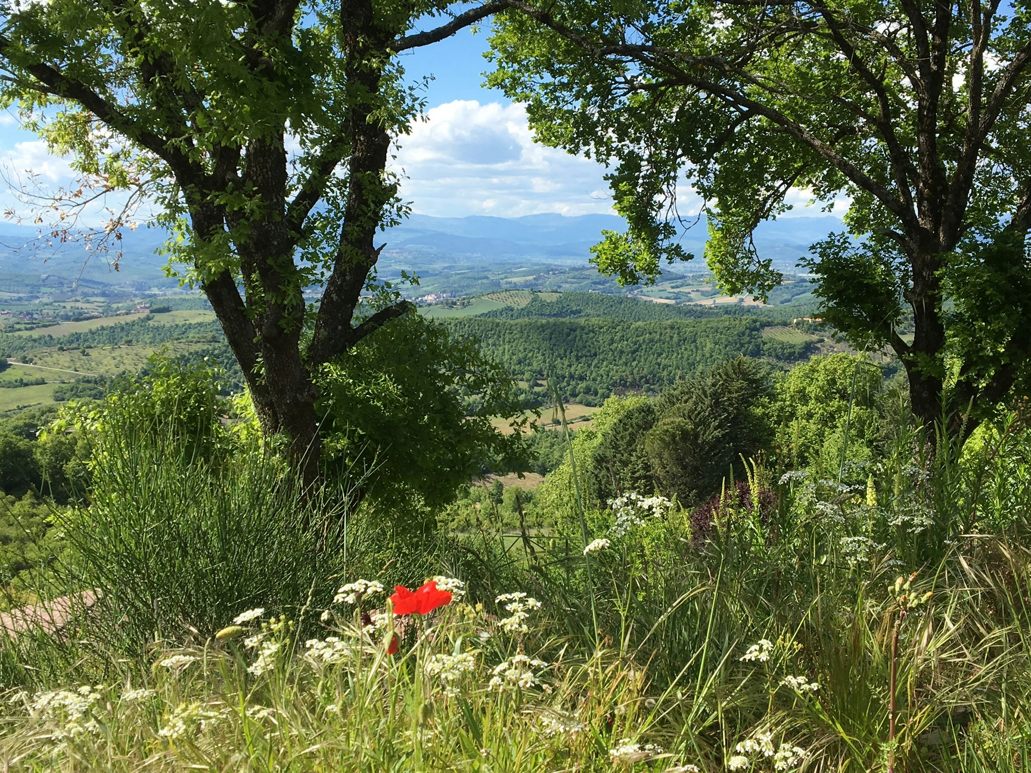 Camping Luna del Monte