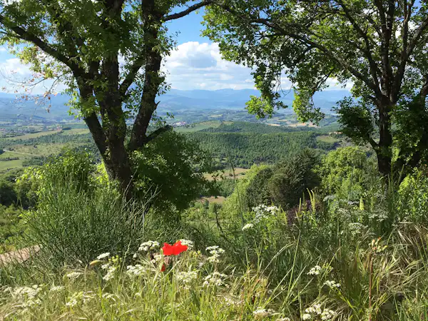Camping Luna del Monte