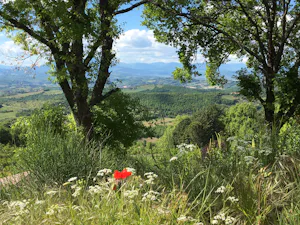 Camping Luna del Monte