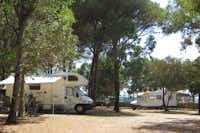 Camping Lungomare - Stellplatz auf dem Campingplatz